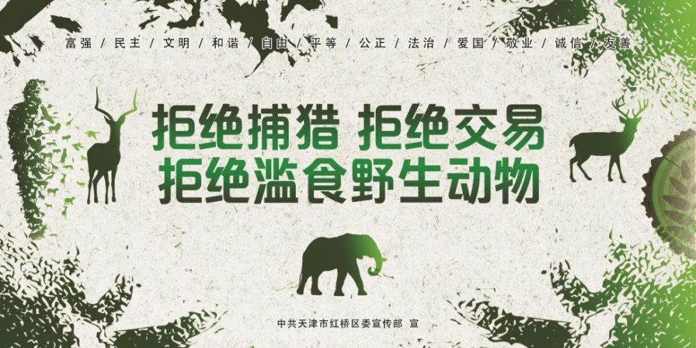 红桥区开展野生动物保护宣传,让"拒绝野味"成为文明新