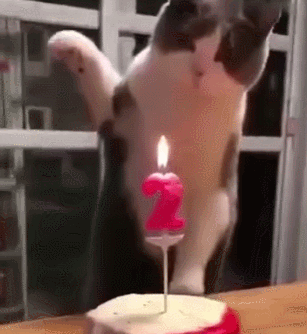 是不是前世欠下你的债,橘外人带你抓负心喵女神节上