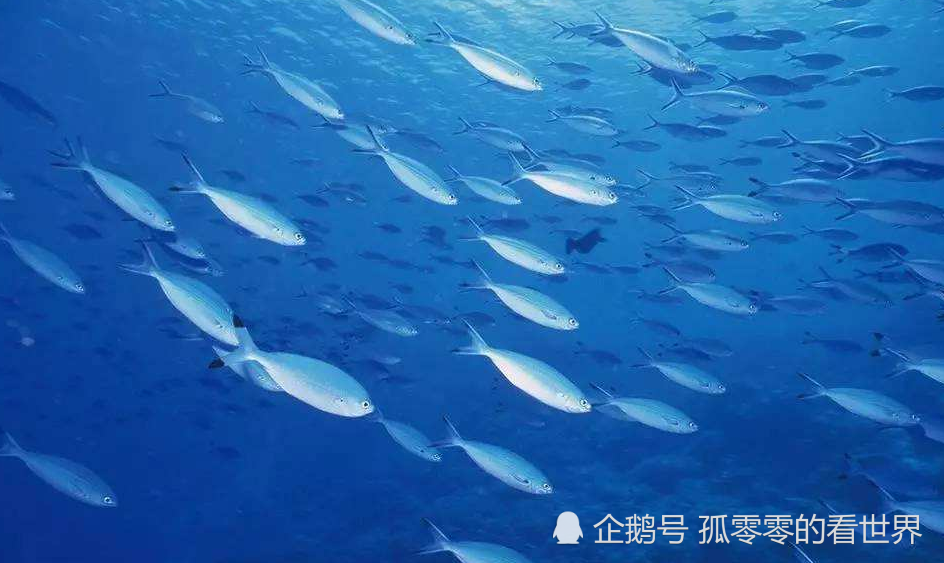 科学家在海底深处研究时,发现神秘物质:人类必须警惕了!