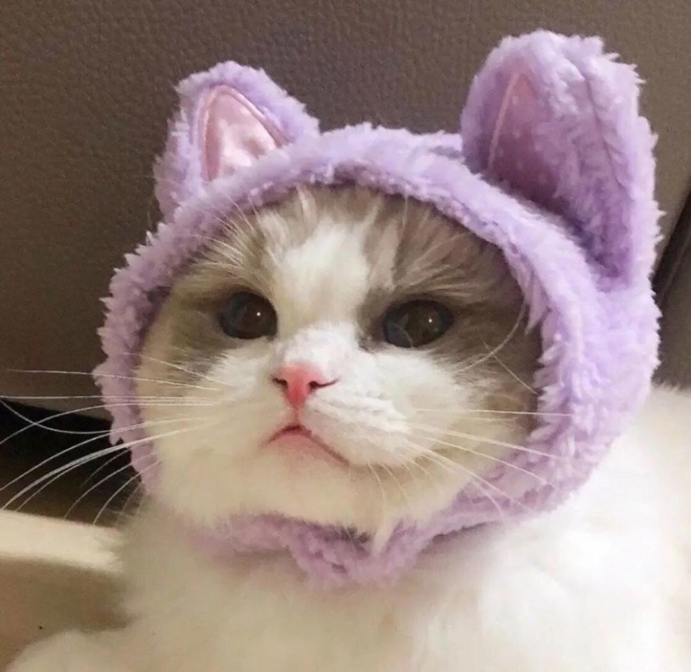 今日最火的个性沙雕头像大全