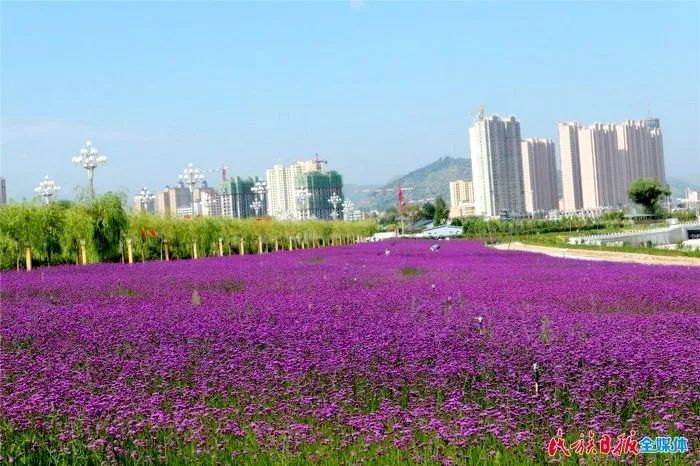 花儿临夏·春漾河州