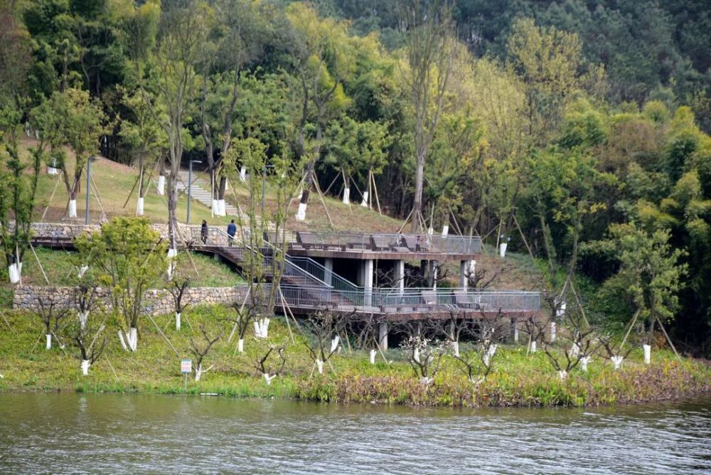 城市森林公园,永安湖,成都天府国际生物城,成都,栈道,湿地