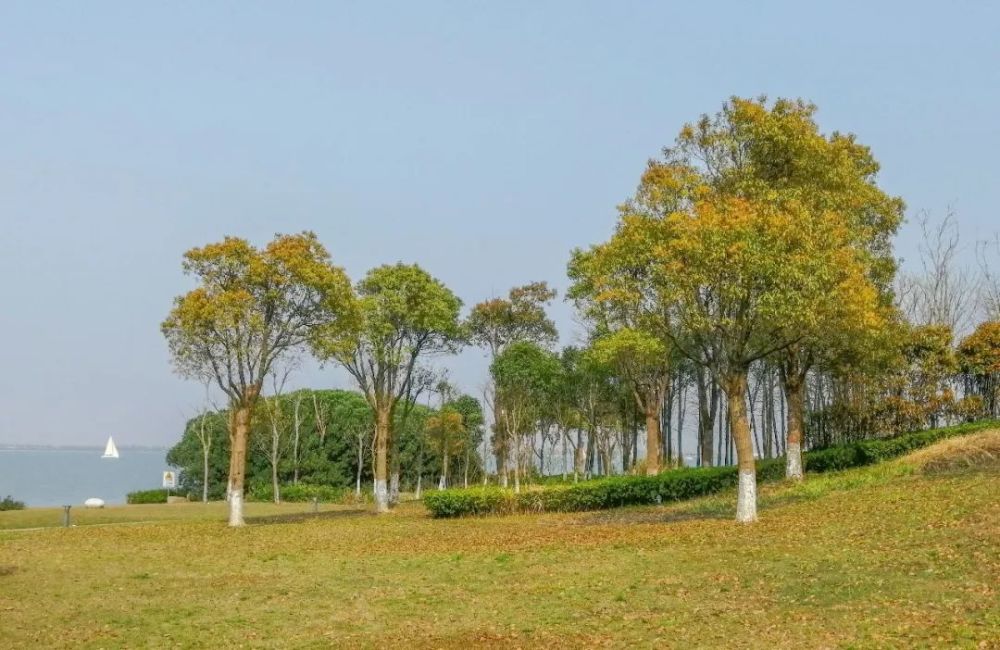 临港新片区风采之滴水湖美景