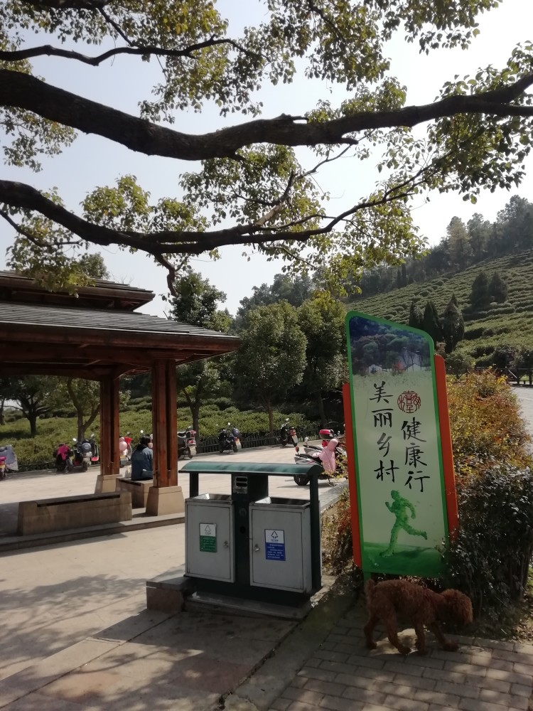 树山村,山村,苏州,树山生态村,大阳山,栈道