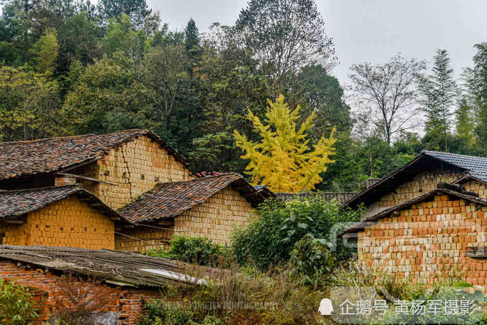 广东南雄市新圩村故乡的原风景,老旧的房屋熟悉的乡村景色很亲切