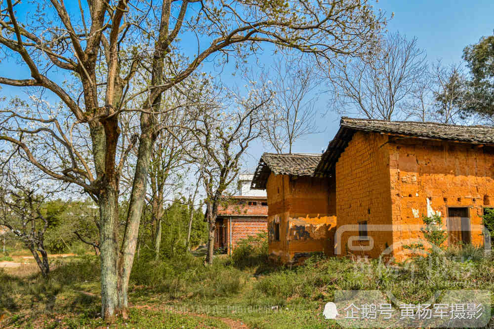 江西于都县密坑村,瓦房老屋的乡村景色是客家人最熟悉的故乡印记