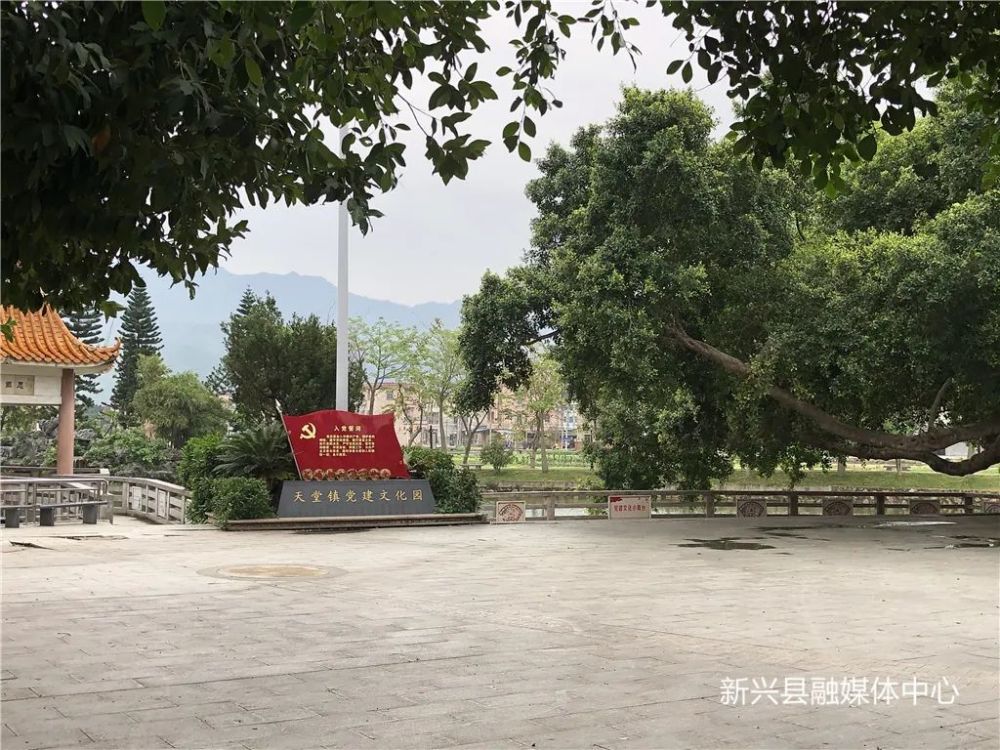 新兴这个镇将迎大变化!公园扩建,样板街升级改造,还有