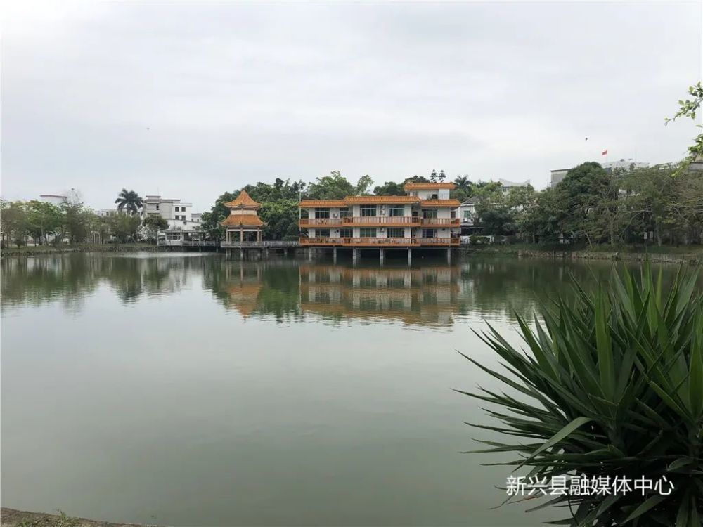 新兴这个镇将迎大变化!公园扩建,样板街升级改造,还有