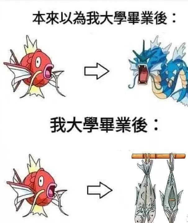 每日一笑,"当年的仇,算是报回来了"