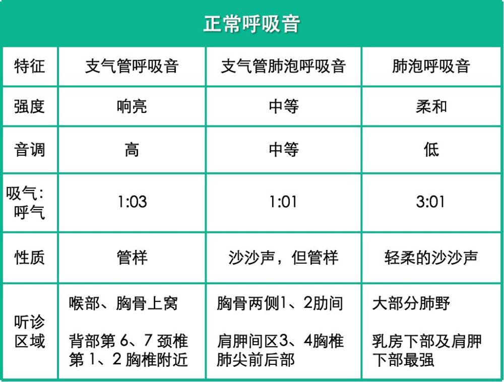 正常呼吸音 正常呼吸音包括支气管呼吸音,支气管肺泡呼吸音,肺泡呼吸