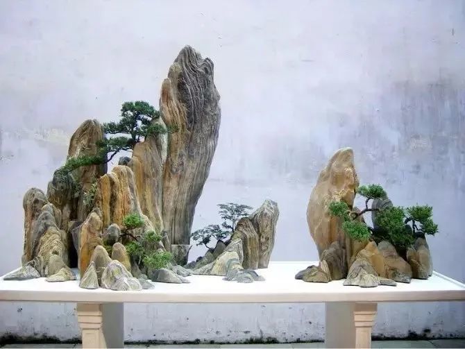 盘子里的中国风——水旱盆景