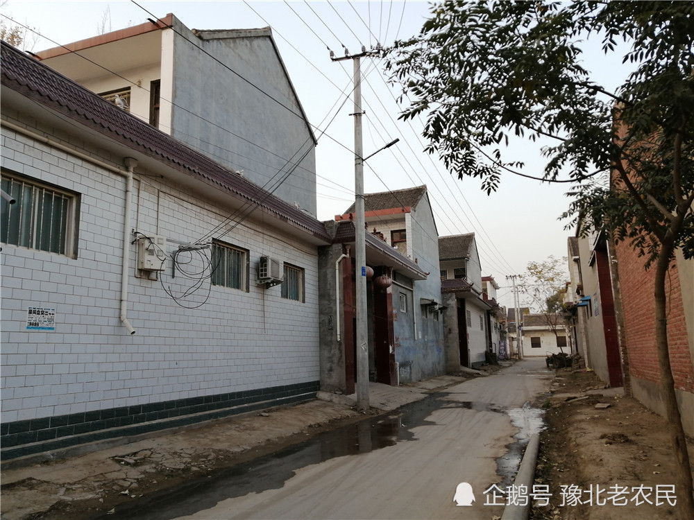 豫北某农村实拍:街里面很安静,村民们或宅家或下地