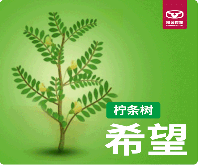 植树节,让我们共植美好明天-天天快报