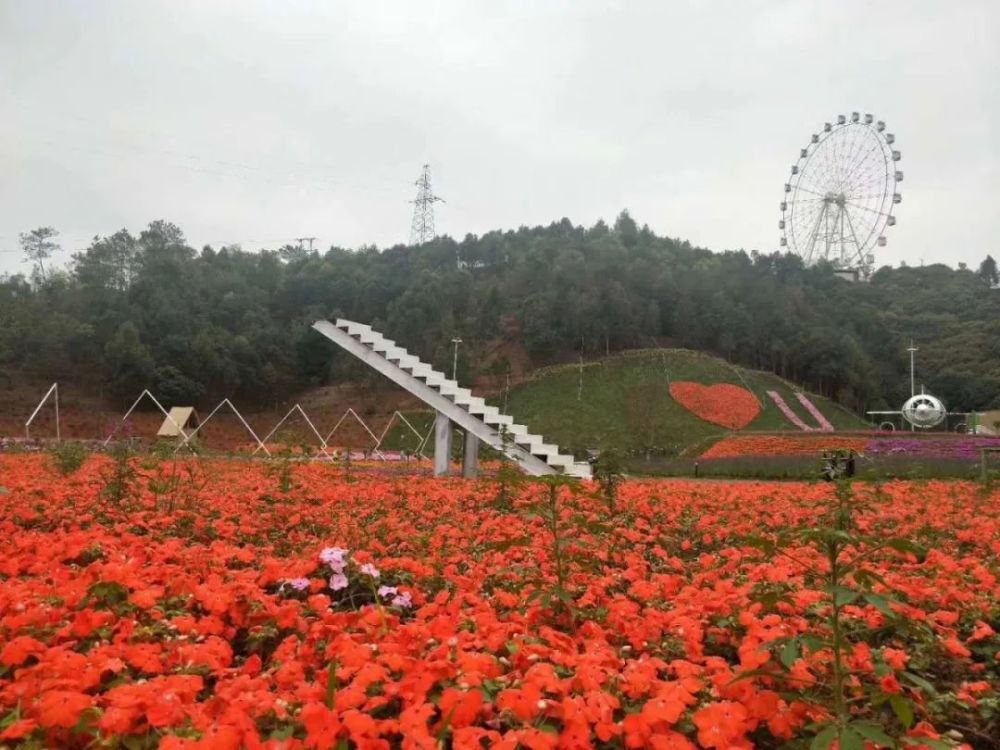 信宜莲花湖3月14日复工开园!