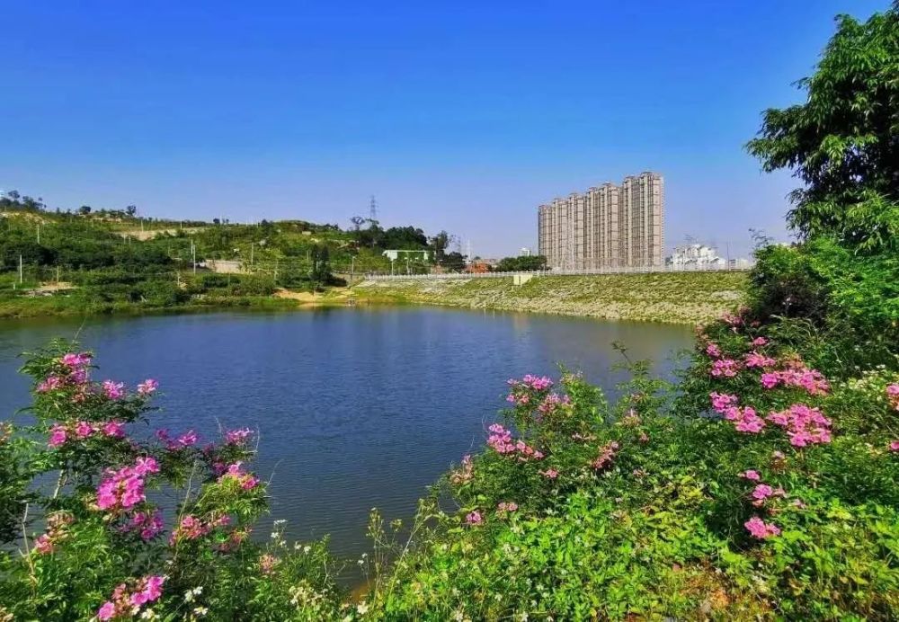 环东海域带状公园 乌石盘公园 杏东公园 美峰水库景观工程等 改造
