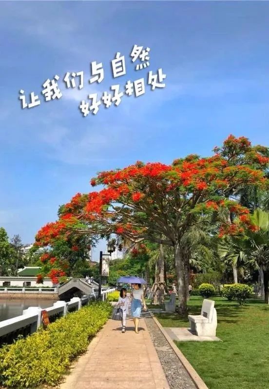 2020,让我们与自然好好相处!