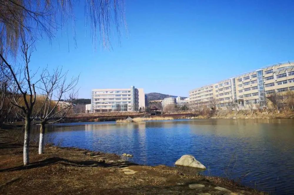今天的大外,是想你的模样!