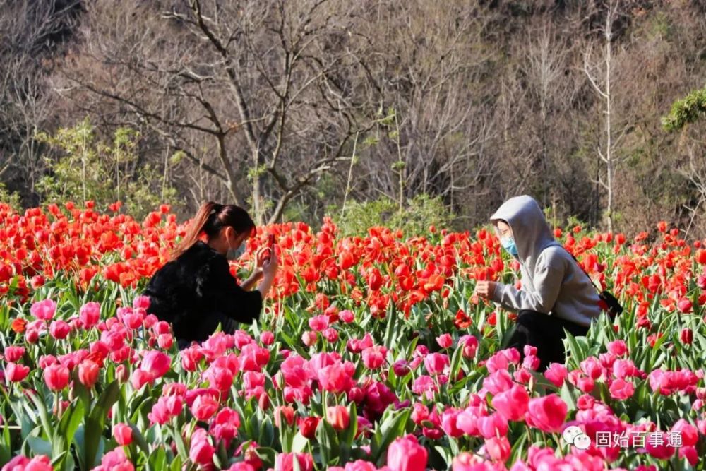 春到固始西九华山