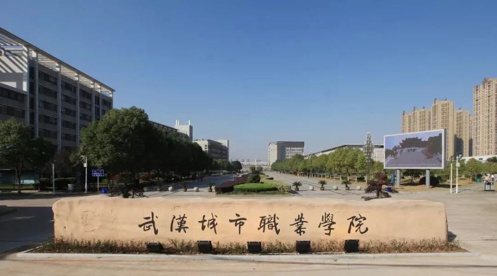 2020年,武汉城市职业学院新增5个专业!