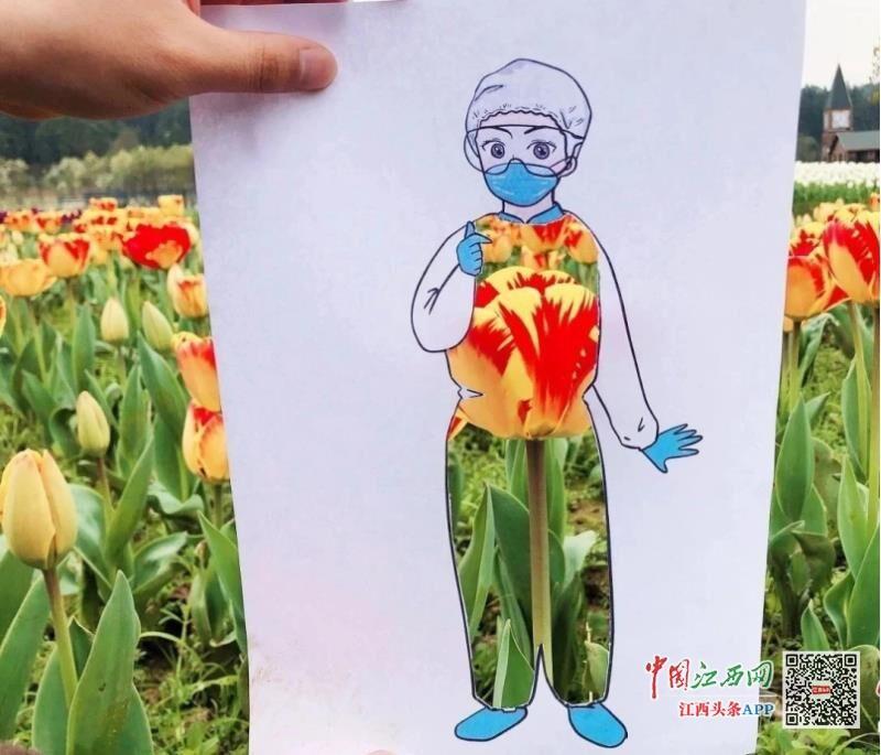 南昌市第三届郁金香花展开启 云赏花 看点快报