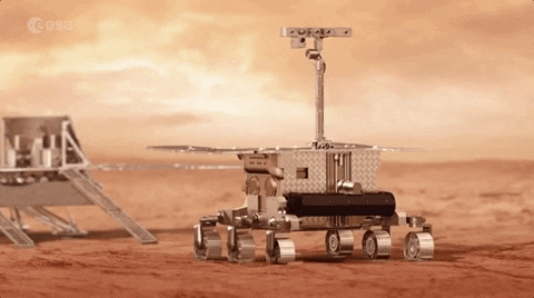 2020火星探测选手退赛一位……因为冠状病毒?