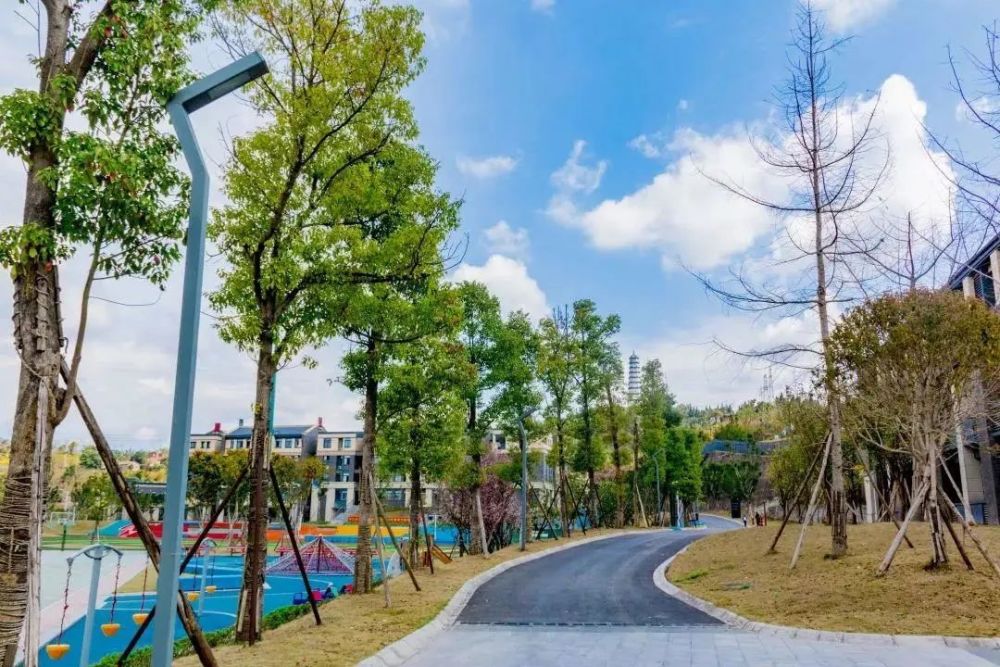 内江天立学校众志成城战疫情