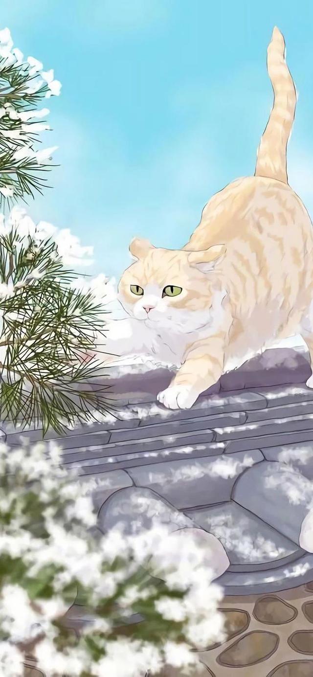没有什么烦恼不能通过撸猫解决!这组手绘猫咪,可爱到天际!