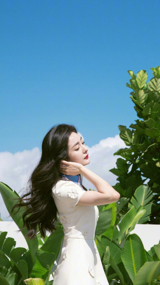 第4期 杨幂高清壁纸