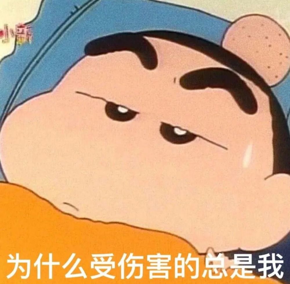 蜡笔小新嘴臭网友上线!