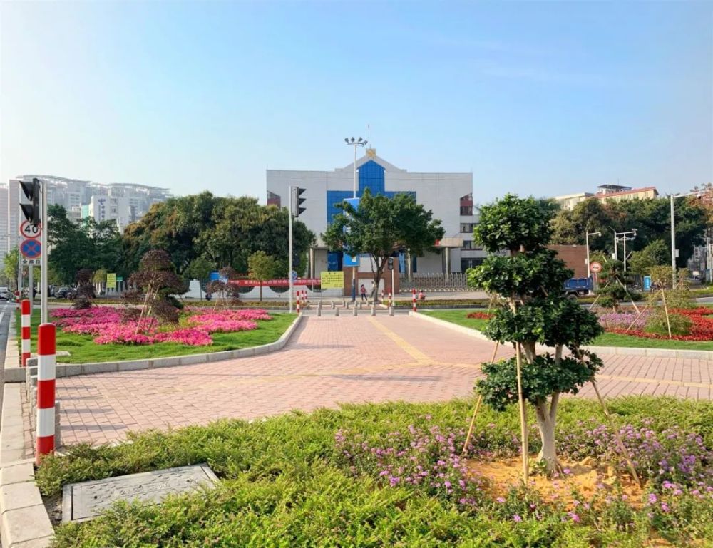 去罗定的公园绿地街头巷尾, 感受春天的气息吧~ 在市政广场中, 一棵