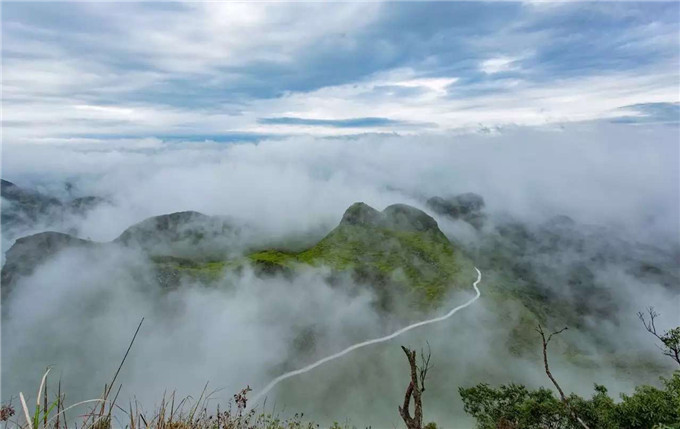 烟雨蒙蒙的春天,广东连山金子山的云海景观如同仙境