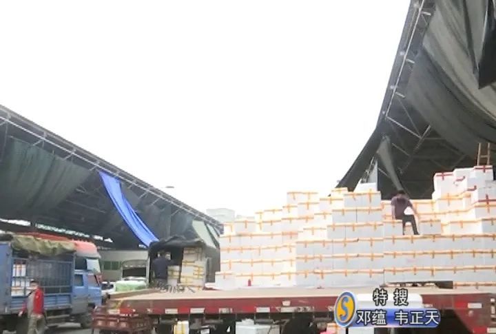 广州最大的批发市场,疫情影响下的蔬果,如何抵达你餐桌?