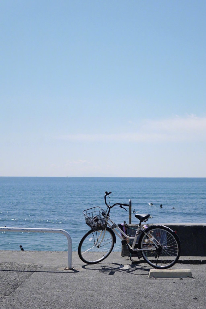 日本镰仓的海边风光