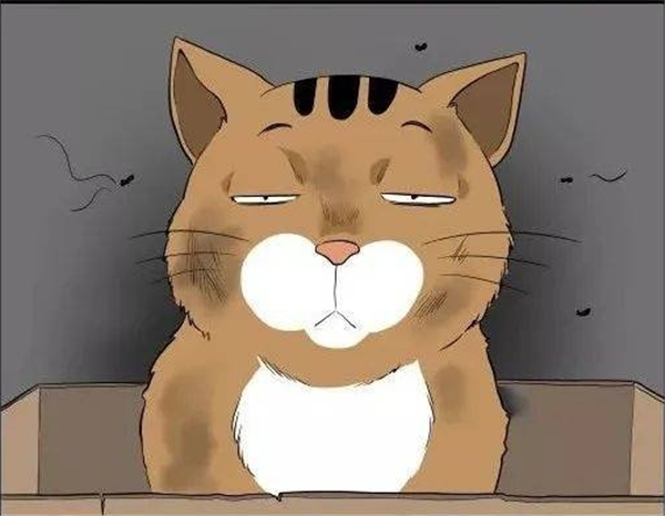搞笑:王子化身脏兮兮的流浪猫在街头寻找心仪的王妃,终于碰到了善良