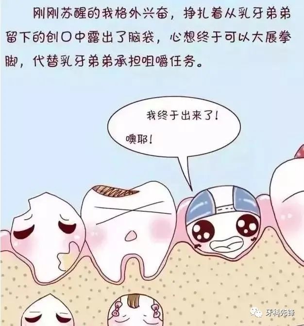 这时候,如果不及时把占位的乳牙拔掉,就会影响恒牙的正常生长,导致