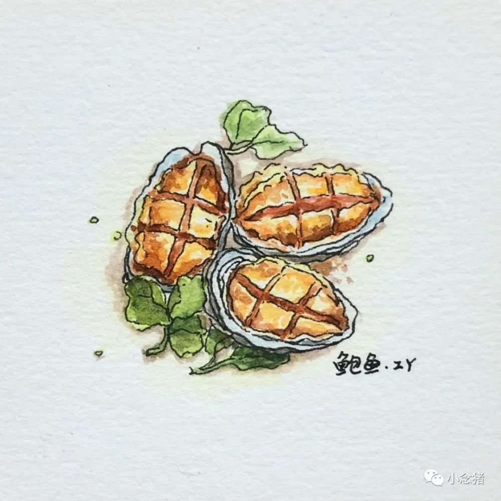 鲍鱼  