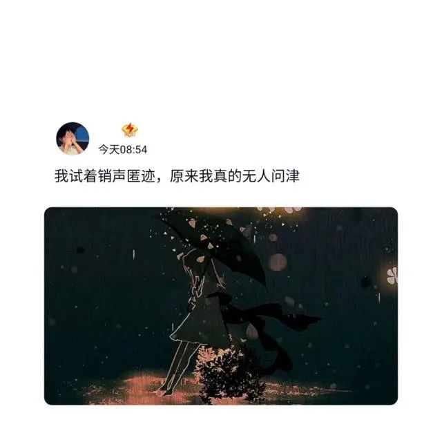 我试着销声匿迹,原来我真的无人问津