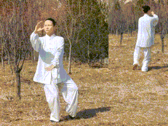 北大老师亲自示范!教你练习太极拳