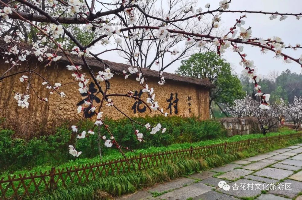杏花村,公园,文化旅游
