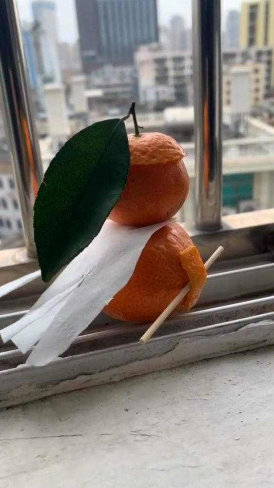 搞笑,疫情,宅在家