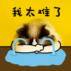 这届学生太难了!新消息出炉,淄博家长速查收!