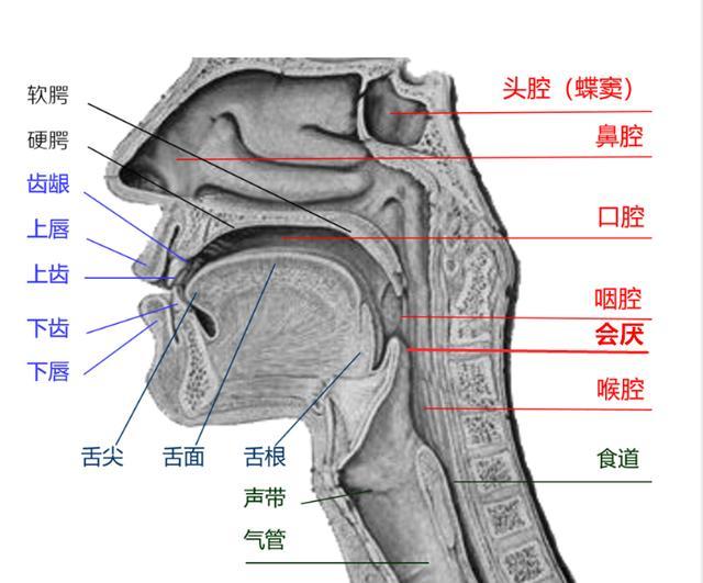 天天快报