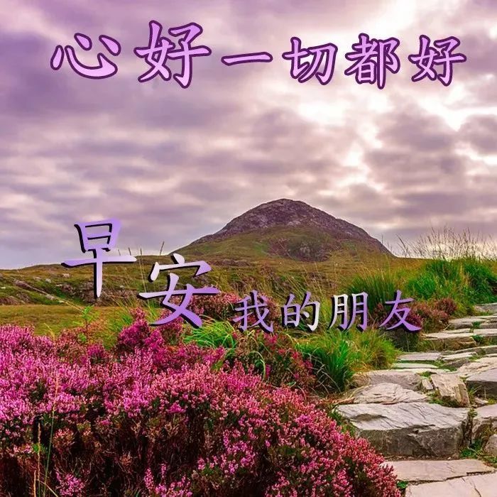 大家早上好,正能量早安问候语 漂亮的唯美的图片温馨的早安问候语录