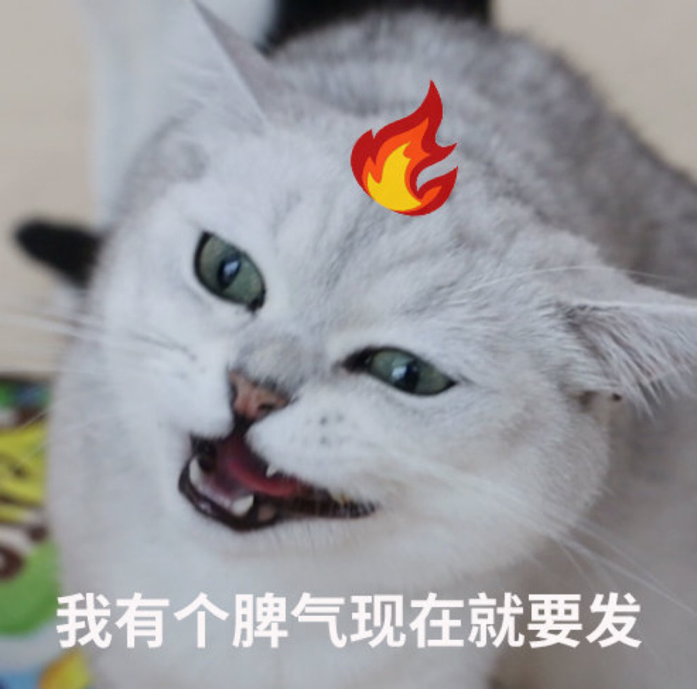 表情包:不要欺负人