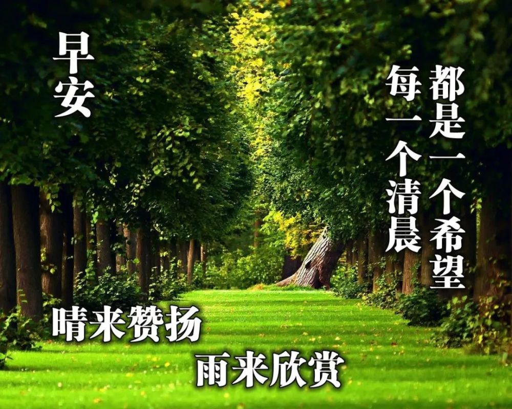 大家早上好,清晨早安问候简短语句,发朋友圈最暖心的早上好祝福句子