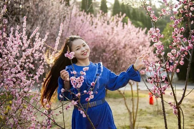 人像摄影:满园梅花开