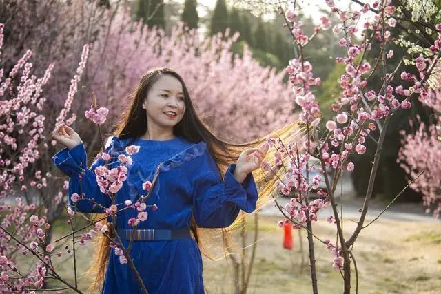 人像摄影:满园梅花开