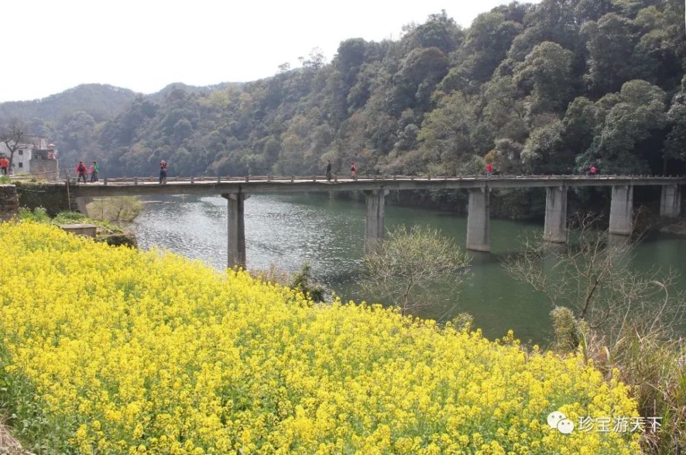 婺源——李坑,汪口,江湾,江岭,晓起