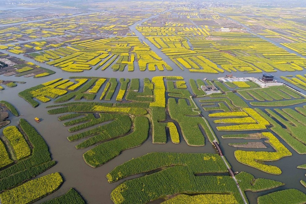 江苏泰州:千垛景区春景如画