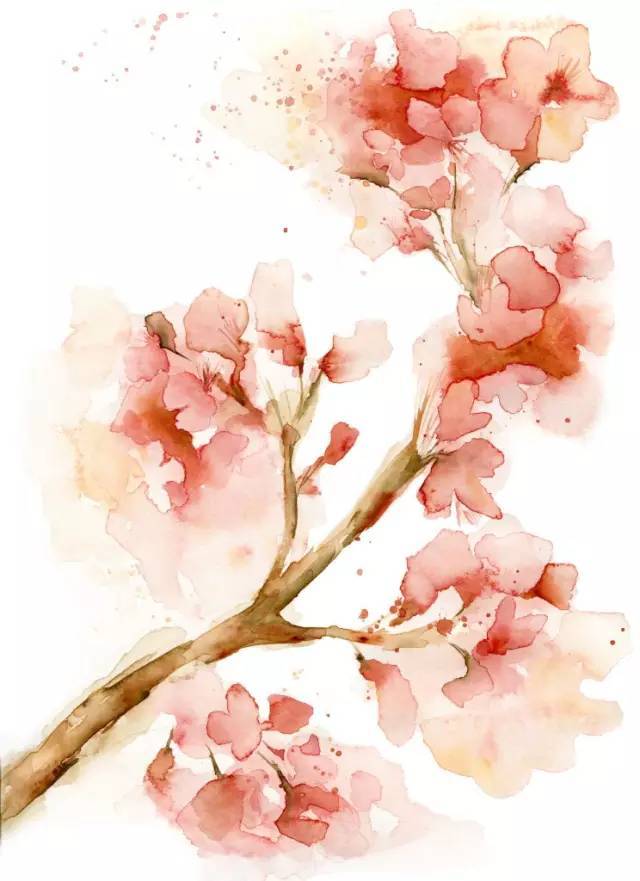 趣味水彩画:画漂亮樱花